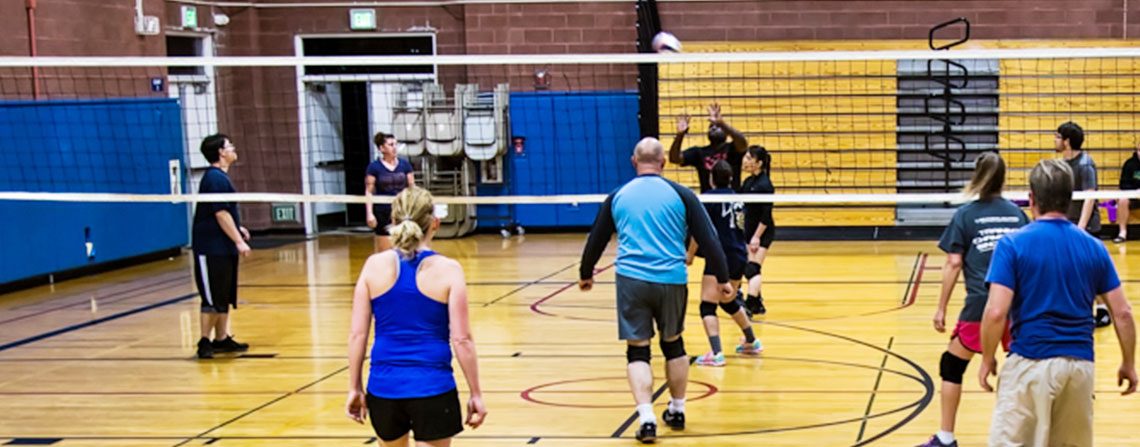 Adult Volleyball - All Out Sports League